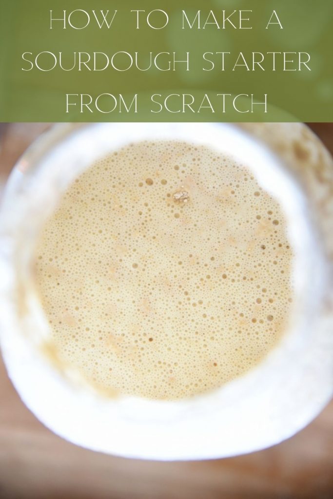 sourdough starter pinterest graphic