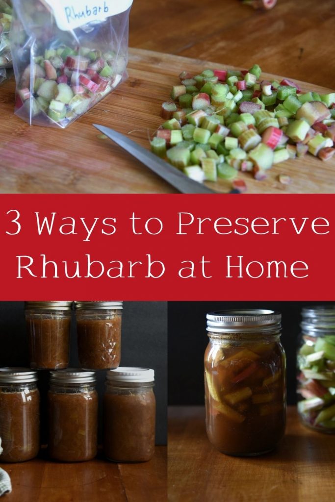 3 ways to preserve rhubarb at home Pinterest graphic