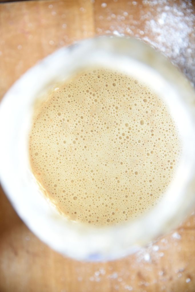 close up of finished sourdough starter