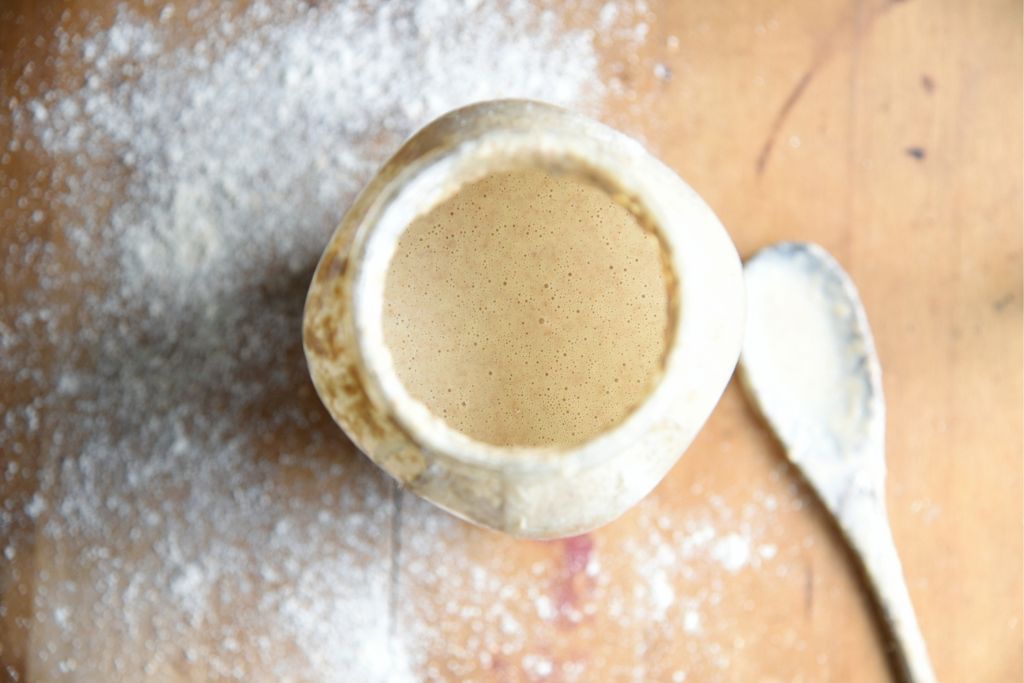 finished sourdough starter with a spoon and flour around it